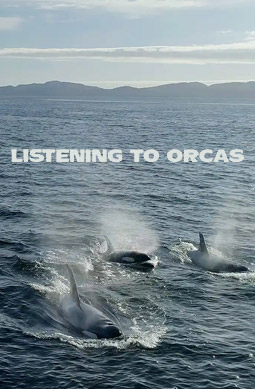 Listening To Orcas