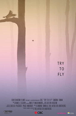 Try To Fly