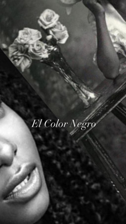 El Color Negro