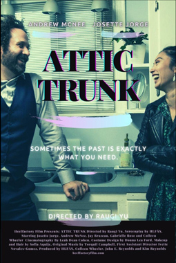 Attic Trunk