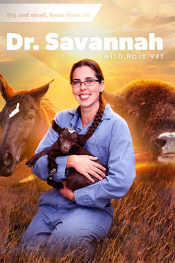 Dr. Savannah: Wild Rose Vet