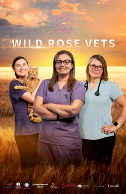 Wild Rose Vets