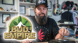 Bud Empire