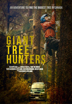 Giant Tree Hunters
